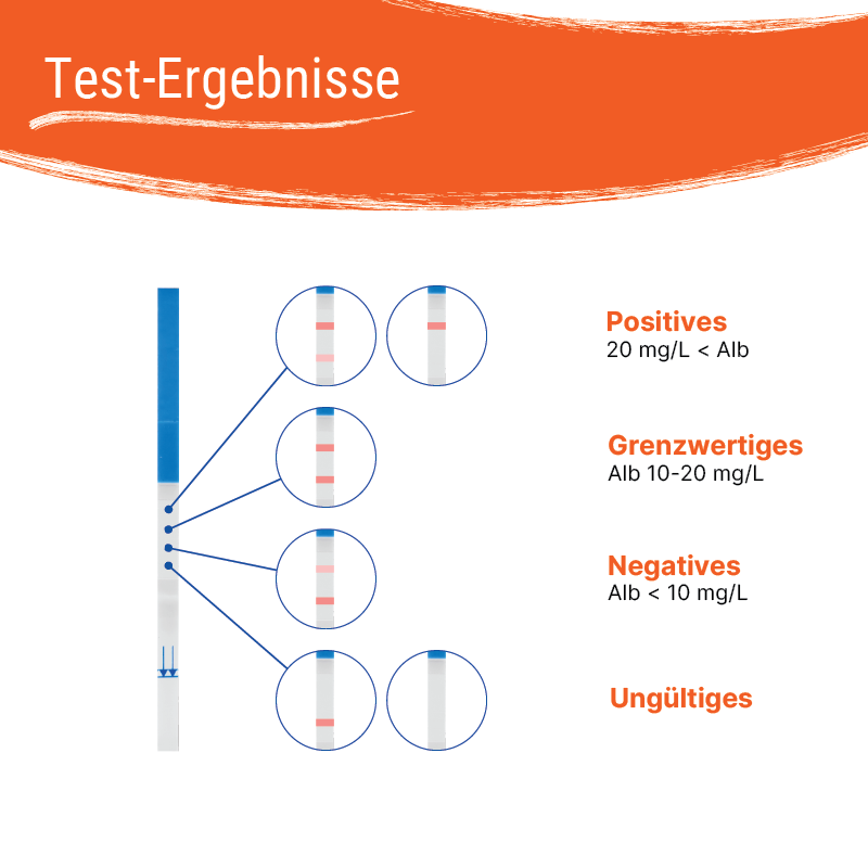 Mögliche Ergebnisse des Patris Health® Nierenfunktions-Selbsttest (Albumin).