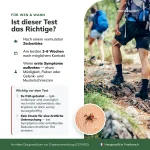 borreliose-test-fuer-wen-geeignet Borreliose-Test empfohlen zwei bis sechs Wochen nach einem vermuteten Zeckenbiss