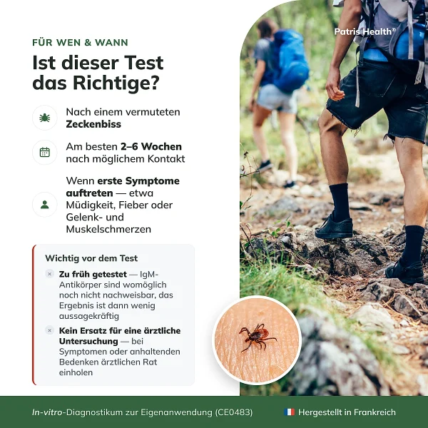Borreliose-Test empfohlen zwei bis sechs Wochen nach einem vermuteten Zeckenbiss