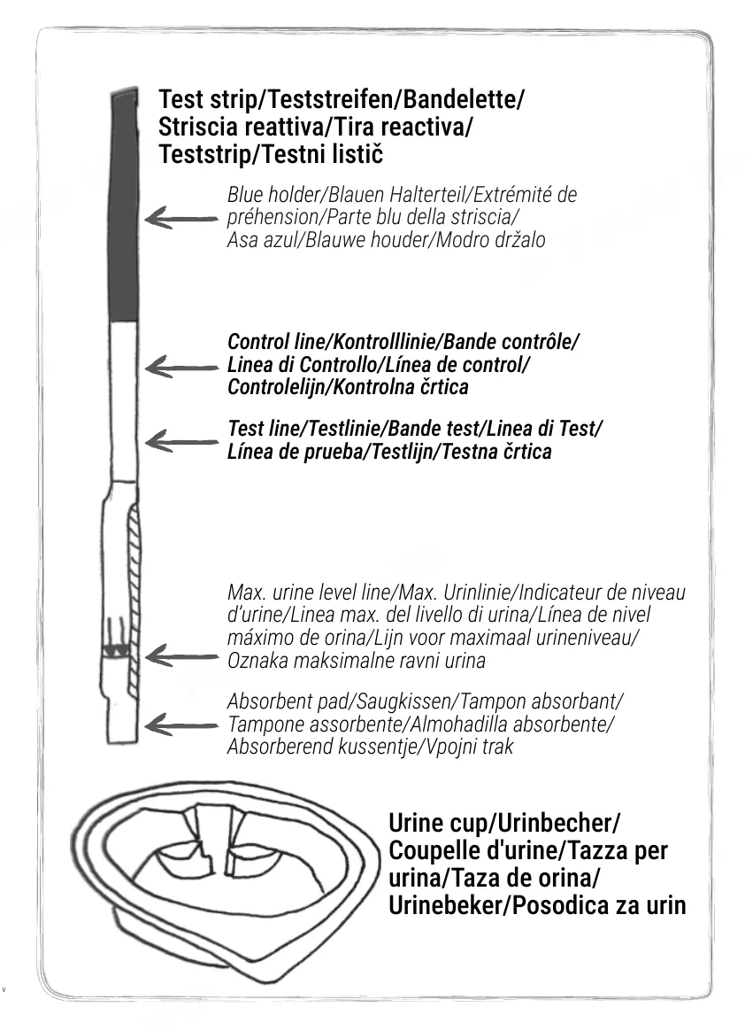 Patris Health Nierenfunktions-Selbsttest (Albumin) Gebrauchsanweisung – die Teile des Kits