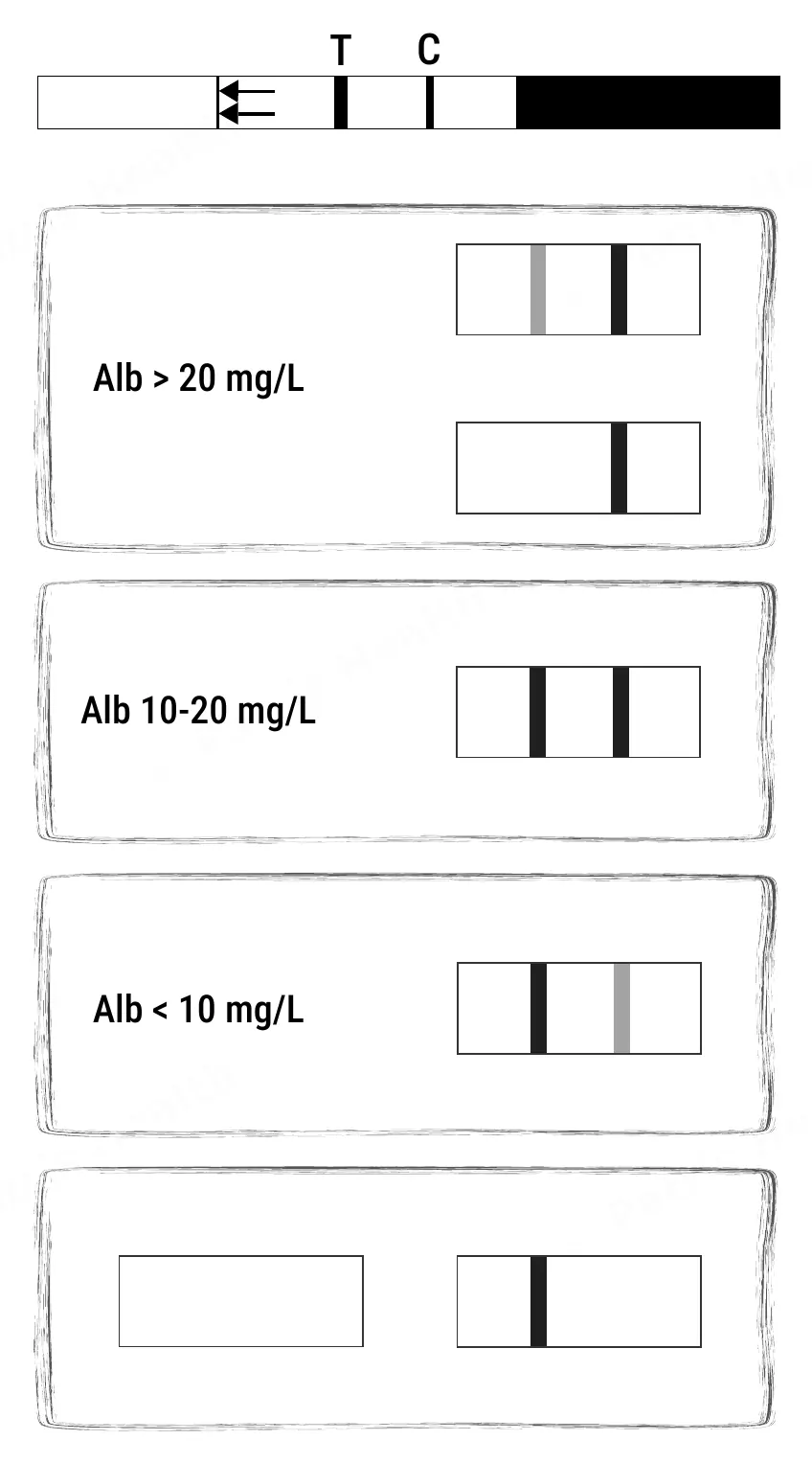 Patris Health Nierenfunktions-Selbsttest (Albumin) Gebrauchsanweisung – die Ergebnisse in Bildern