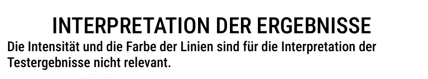 Patris Health Borreliose-Selbsttest Gebrauchsanweisung – Interpretation der Ergebnisse, Einleitung