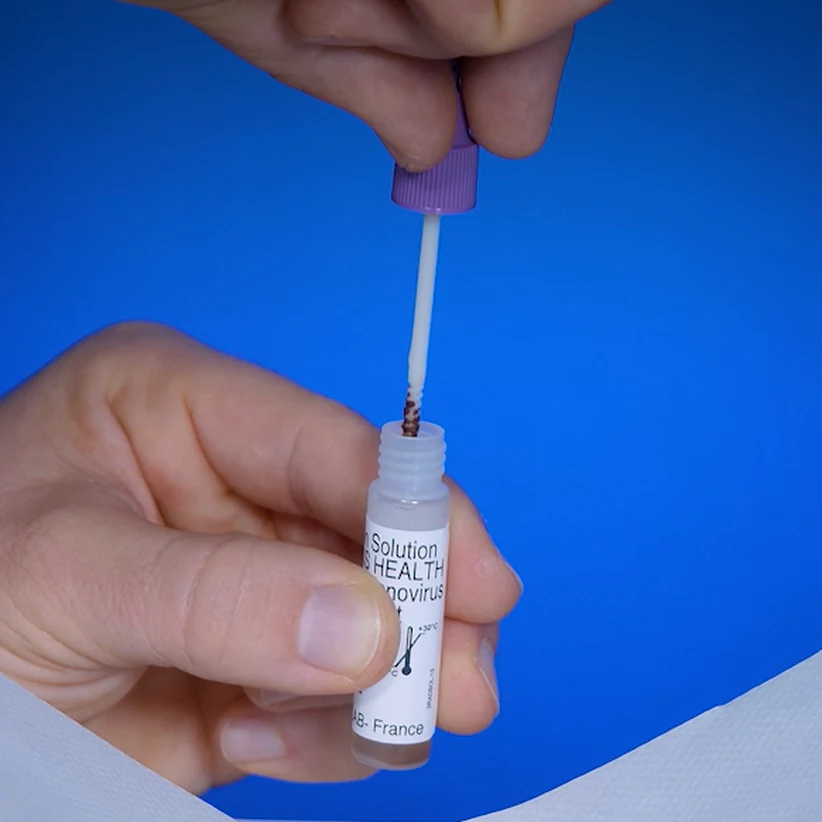 Patris Health Rotavirus-/Adenovirus-Selbsttest – Schritt 2, der Probenentnahmestab wird zurück in das Fläschchen mit der Extraktionslösung gesteckt