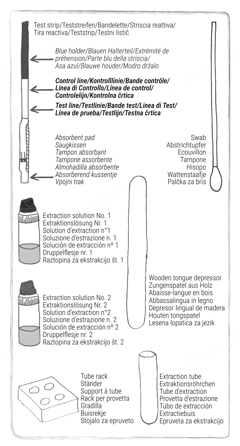 Patris Health Strep-A-Selbsttest Gebrauchsanweisung – die Teile des Kits